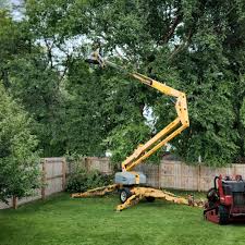 Best Lawn Maintenance Plans  in Lake Belvedere Estates, FL